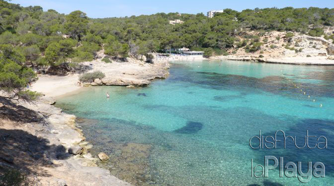 Platja de Portals Vells